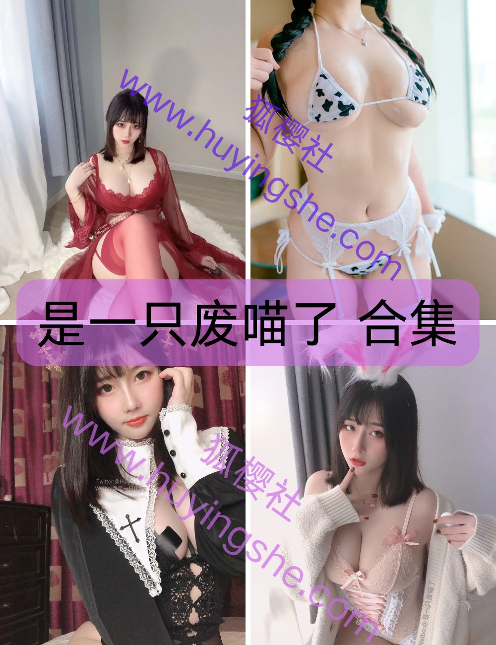 【 是一只废喵了】 coser写真资源以及视频合集下载-肉感萌妹