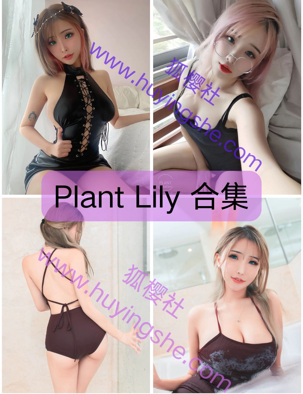 异域魅力Plant Lily(花リリ)写真资源合集下载