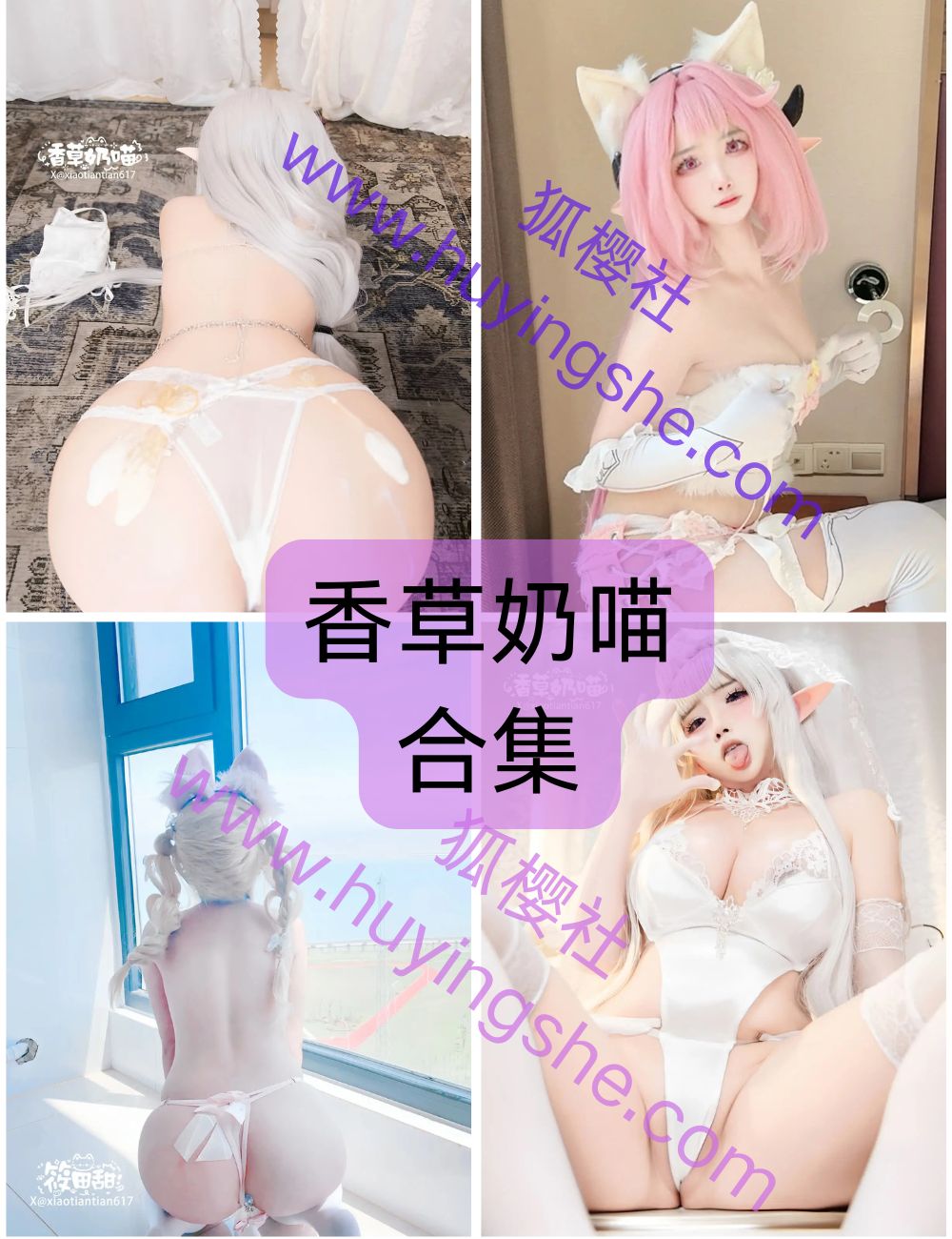 香草奶喵(筱田甜) – 20期写真系列&视频合集-纯欲小奶猫[35G-2026.5]